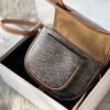 Celine Saddle