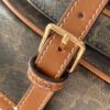 Celine Saddle