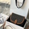 Celine Saddle