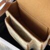 Celine Saddle