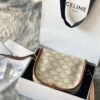 Celine Saddle