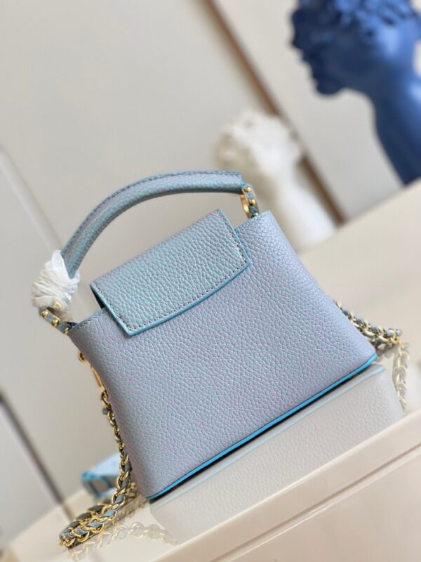 Louis Vuitton Capucines Mini