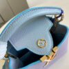 Louis Vuitton Capucines Mini