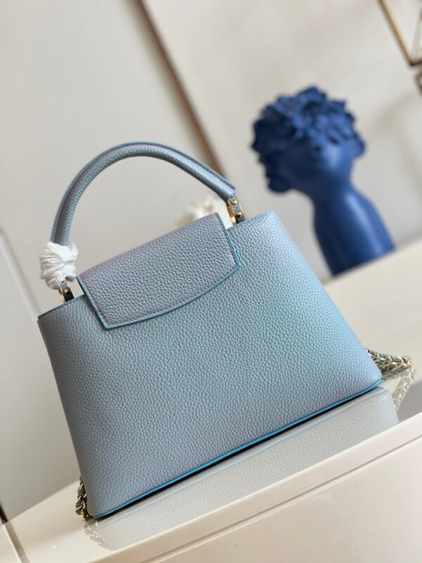 Louis Vuitton Capucines MM