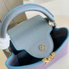 Louis Vuitton Capucines MM