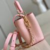Louis Vuitton Capucines Mini
