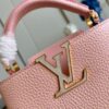 Louis Vuitton Capucines Mini
