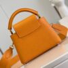 Louis Vuitton Capucines Mini