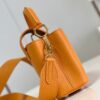 Louis Vuitton Capucines Mini