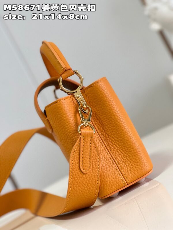 Louis Vuitton Capucines Mini