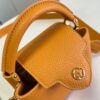 Louis Vuitton Capucines Mini