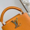 Louis Vuitton Capucines Mini