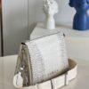 Louis Vuitton Coussin PM