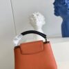 Louis Vuitton Capucines Mini