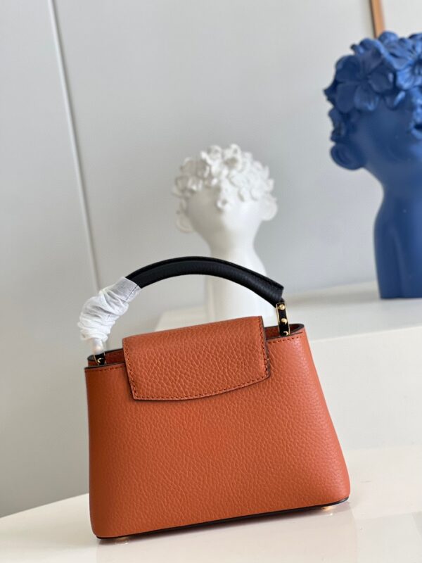Louis Vuitton Capucines Mini
