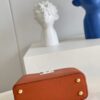 Louis Vuitton Capucines Mini