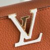 Louis Vuitton Capucines Mini