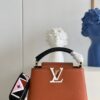 Louis Vuitton Capucines Mini