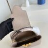 Louis Vuitton Capucines Mini