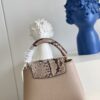 Louis Vuitton Capucines Mini