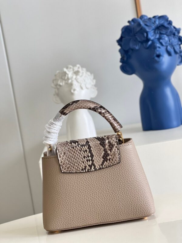 Louis Vuitton Capucines Mini