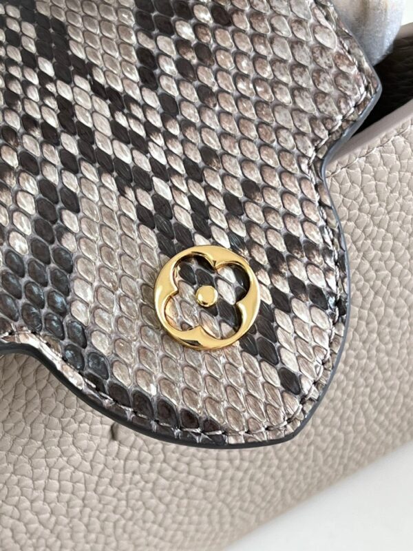 Louis Vuitton Capucines Mini