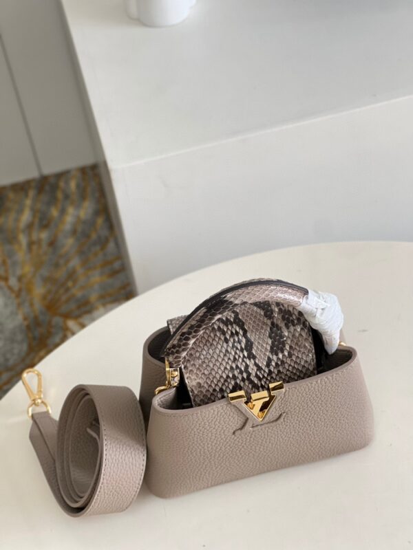 Louis Vuitton Capucines Mini