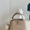 Louis Vuitton Capucines Mini