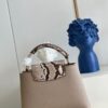 Louis Vuitton Capucines BB