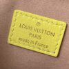 Louis Vuitton Coussin PM