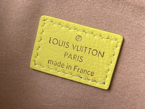 Louis Vuitton Coussin PM