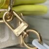 Louis Vuitton Coussin PM