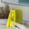 Louis Vuitton Coussin PM