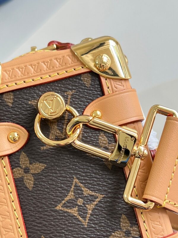 Louis Vuitton Side Trunk MM Bag