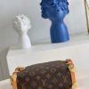Louis Vuitton Side Trunk MM Bag