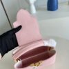 Louis Vuitton Capucines Mini