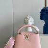 Louis Vuitton Capucines Mini