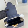Louis Vuitton Capucines Mini