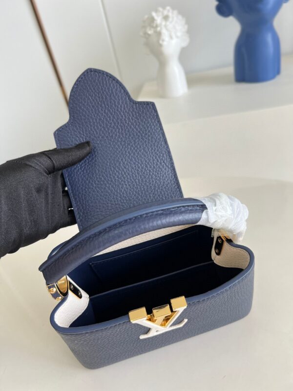 Louis Vuitton Capucines Mini