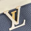 Louis Vuitton Capucines Mini