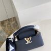 Louis Vuitton Capucines Mini