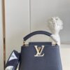 Louis Vuitton Capucines Mini
