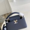 Louis Vuitton Capucines MM