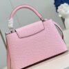 Louis Vuitton Capucines MM