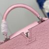 Louis Vuitton Capucines MM