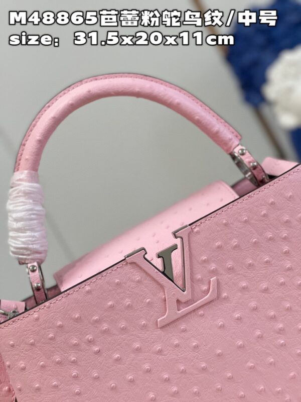 Louis Vuitton Capucines MM