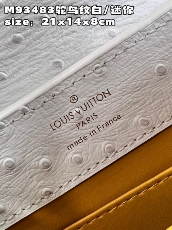 Louis Vuitton Capucines Mini