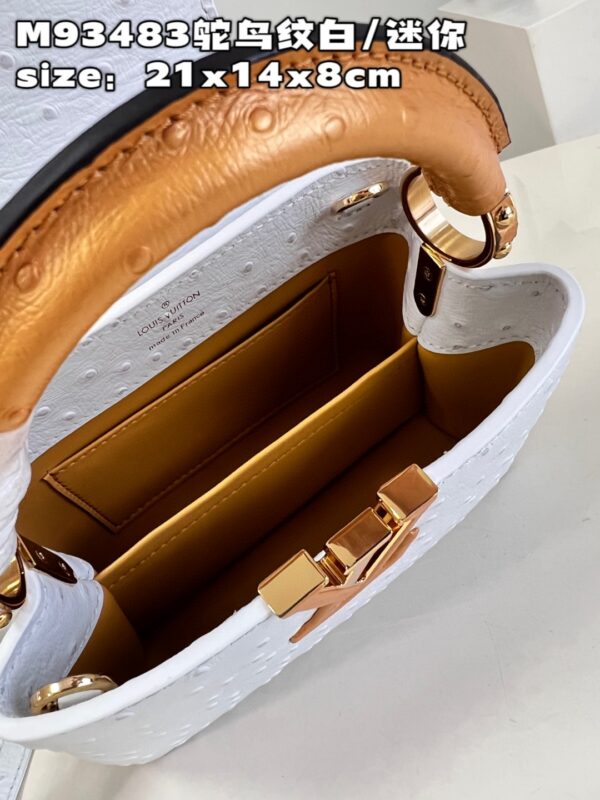 Louis Vuitton Capucines Mini
