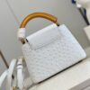 Louis Vuitton Capucines Mini
