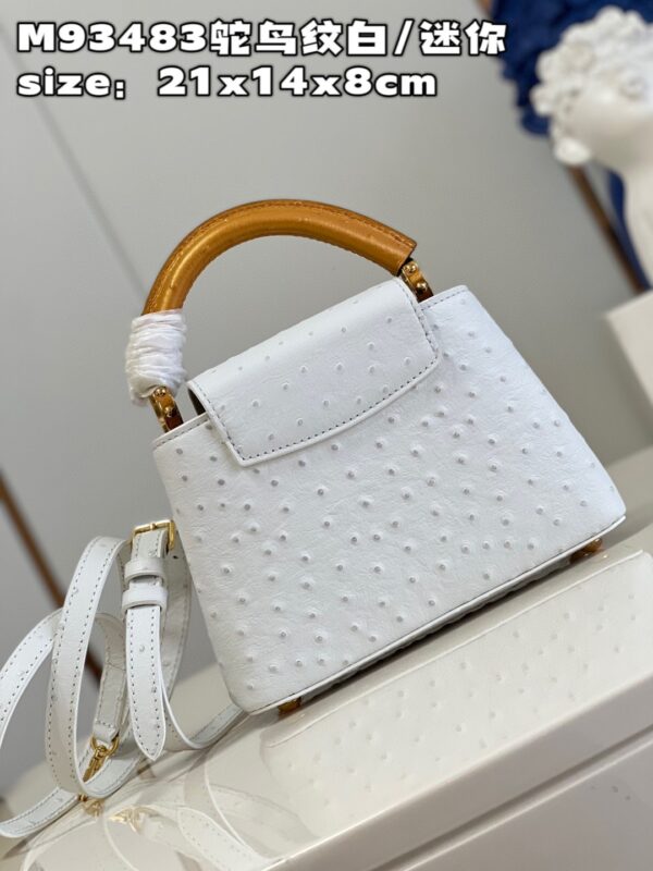 Louis Vuitton Capucines Mini